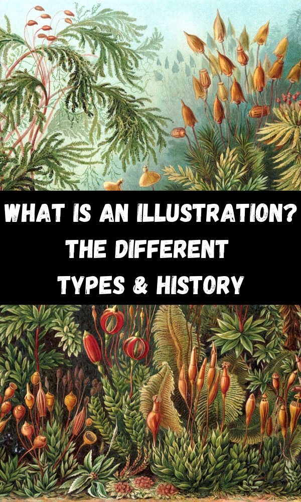 What Is An Illustration? The Different Types & History ATX Fine Arts