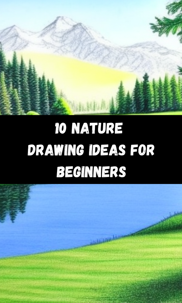 10 Nature Drawing Ideas For Beginners