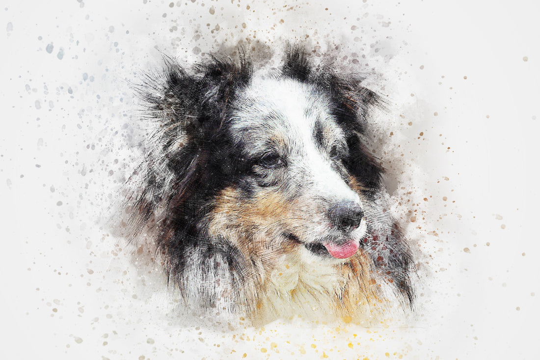 Custom Painted Pet Portraits