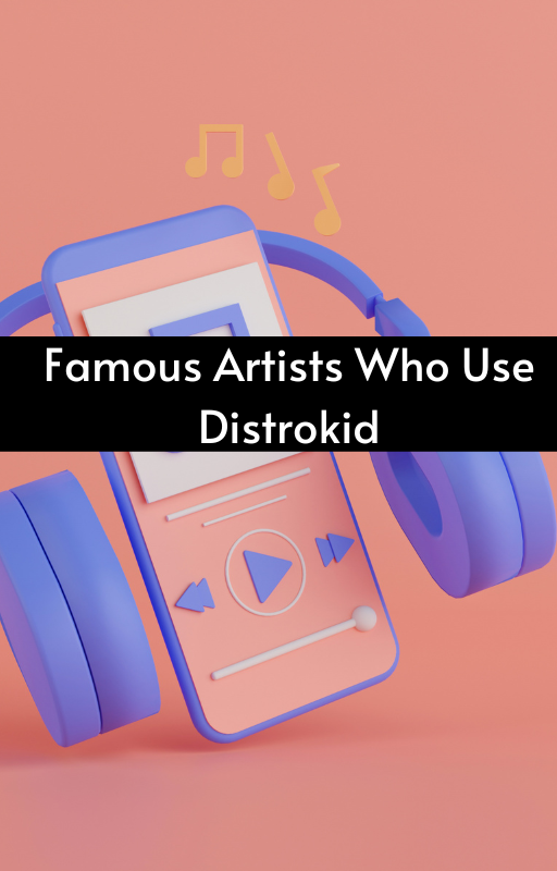 Famous Artists Who Use Distrokid