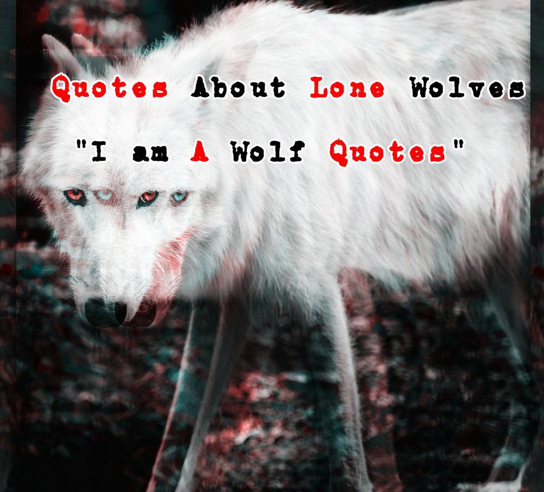 Quotes About Lone Wolves "I am A Wolf Quotes"