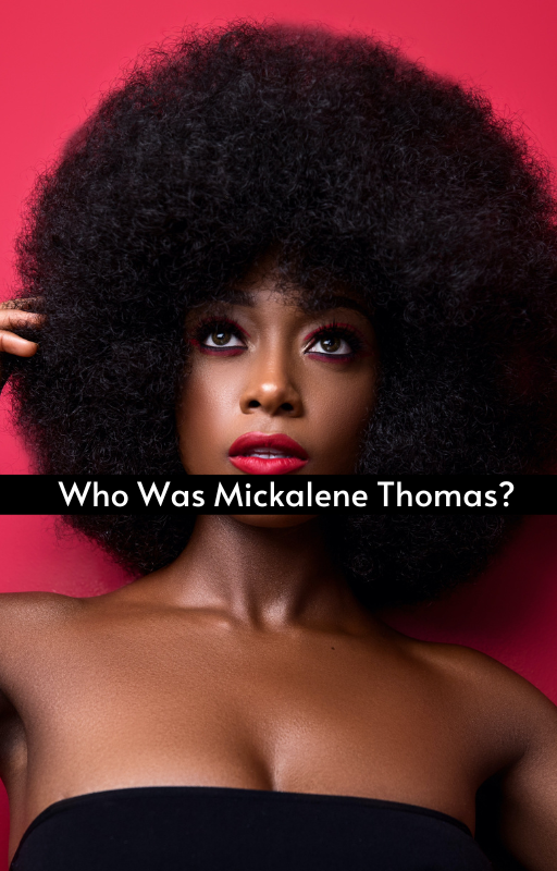 Who Was Mickalene Thomas?