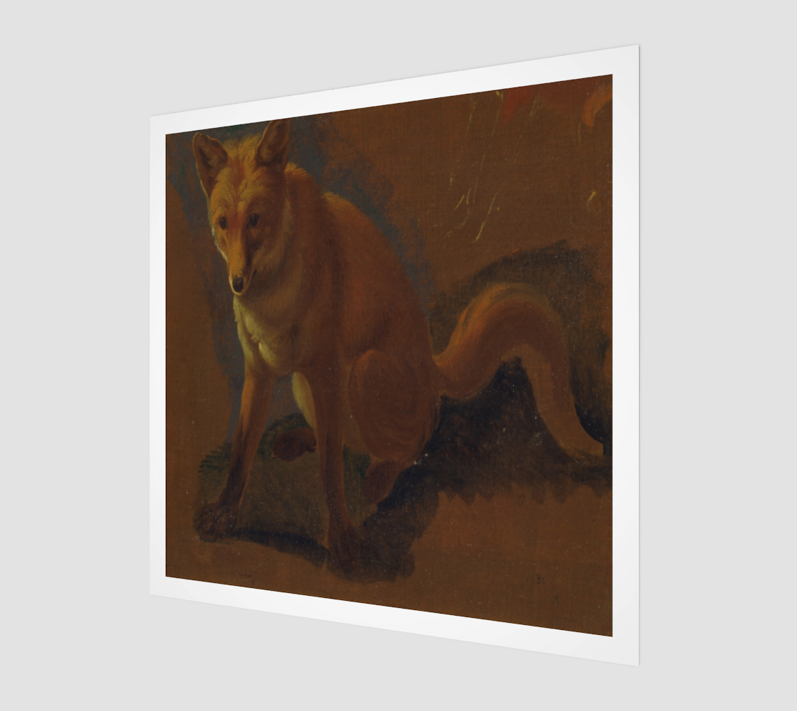 Study of a Fox by Jacques Laurent Agasse [Museum Quality Fine Art Prints]