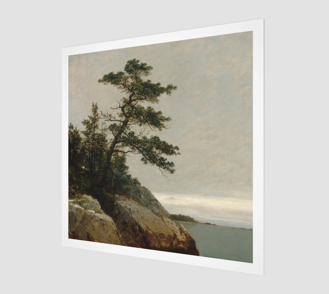 The Old Pine by John Frederick Kensett