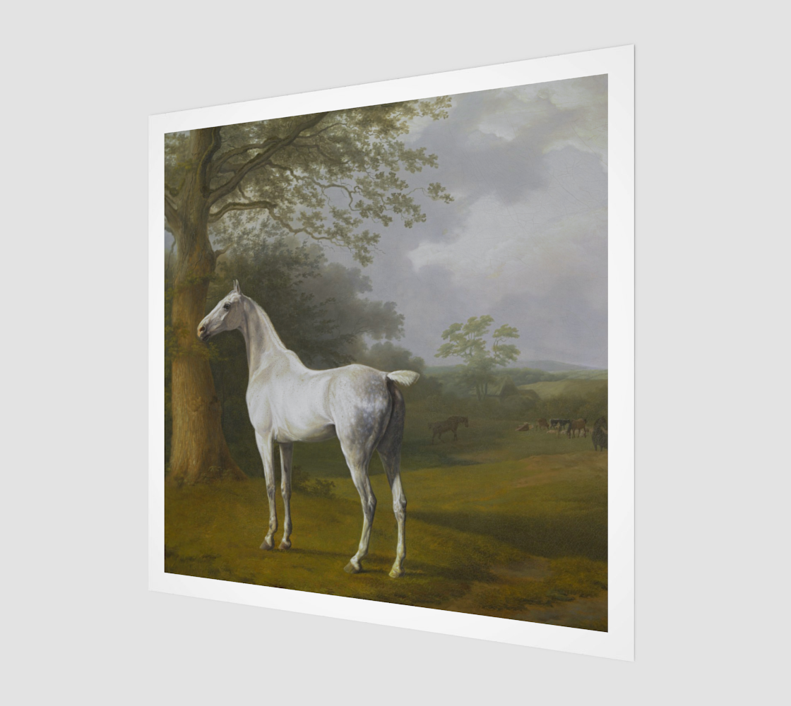White Horse in Pasture by Jacques-Laurent Agasse